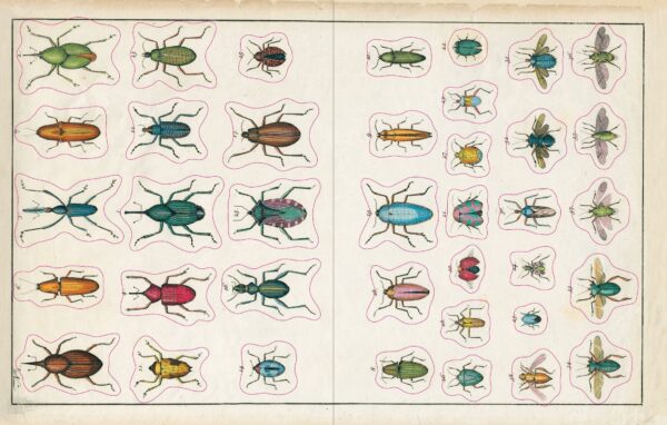 John Derian Sticker Book - Bild 5