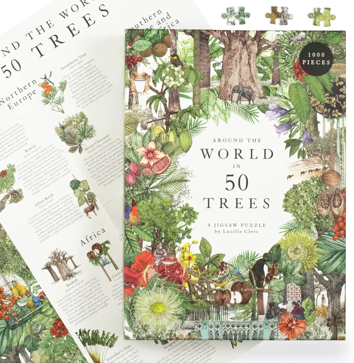 Around the World in 50 Trees - Bild 4