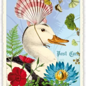 Carte Postale Shell Duck