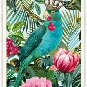 Carte Postale King Parrot