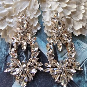 Clips Crystal Parisian